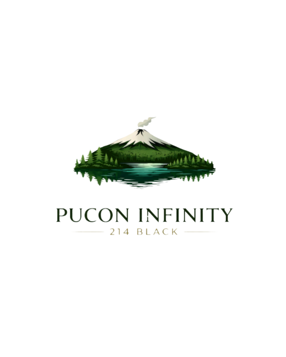 Pucon Infinity 214 Black